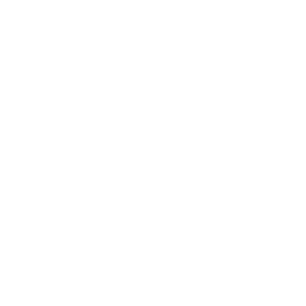 Intro Logo
