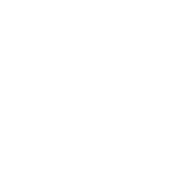 Intro Logo