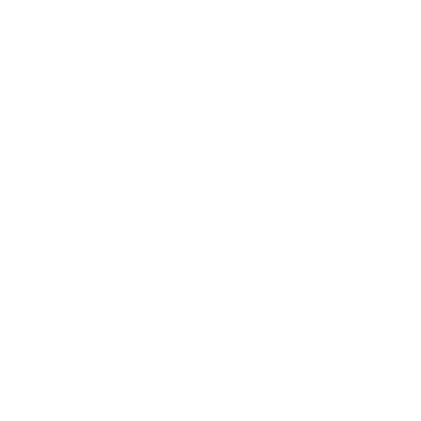 Intro Logo